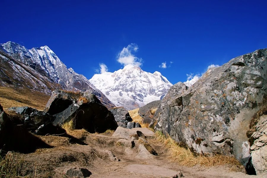 %EB%B3%B4%EC%A0%95__DSC2134.jpg?type=w1200