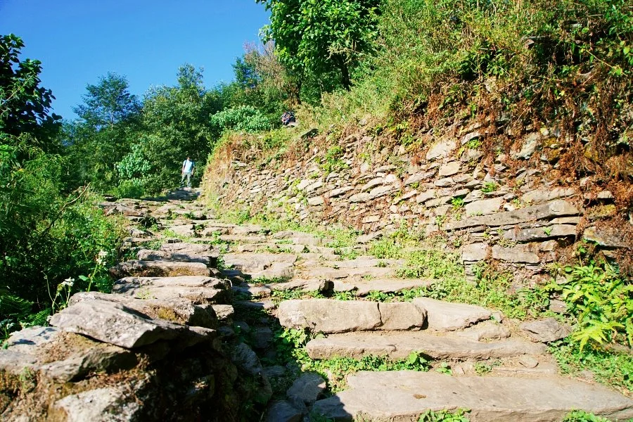 %EB%B3%B4%EC%A0%95__DSC1294.jpg?type=w1200