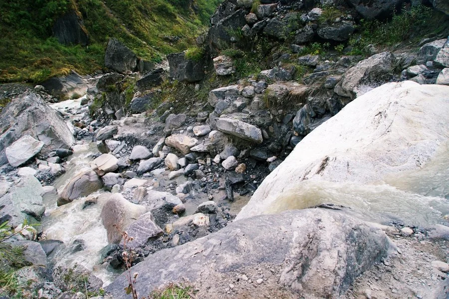 %EB%B3%B4%EC%A0%95__DSC1975.jpg?type=w1200