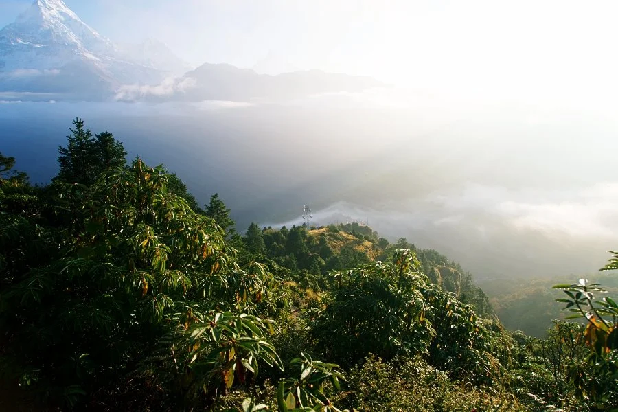 %EB%B3%B4%EC%A0%95__DSC1542.jpg?type=w1200