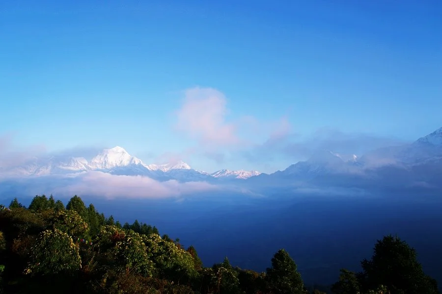 %EB%B3%B4%EC%A0%95__DSC1509.jpg?type=w1200