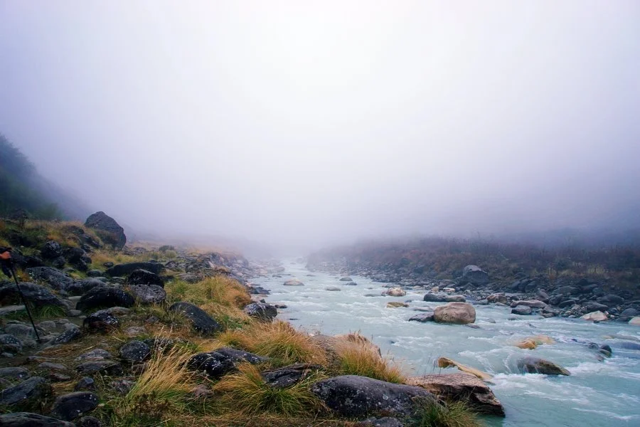 %EB%B3%B4%EC%A0%95__DSC2011.jpg?type=w1200