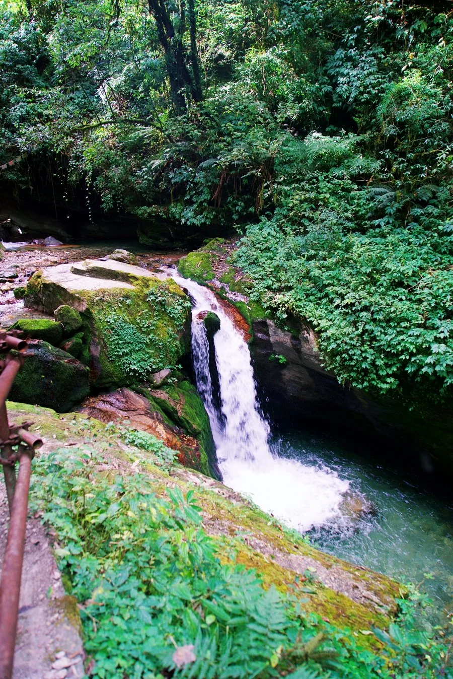 %EB%B3%B4%EC%A0%95__DSC1408.jpg?type=w1200