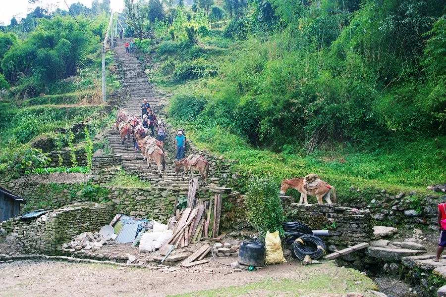 %EB%B3%B4%EC%A0%95__DSC1718.jpg?type=w1200