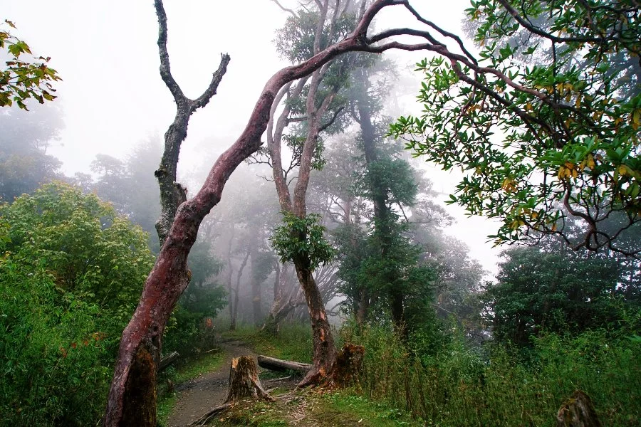 %EB%B3%B4%EC%A0%95__DSC1596.jpg?type=w1200