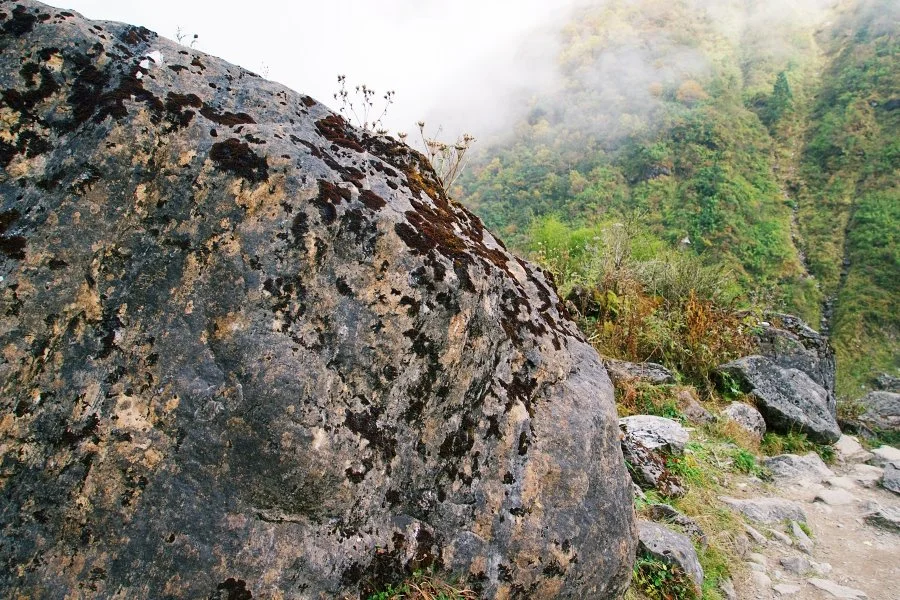 %EB%B3%B4%EC%A0%95__DSC1902.jpg?type=w1200