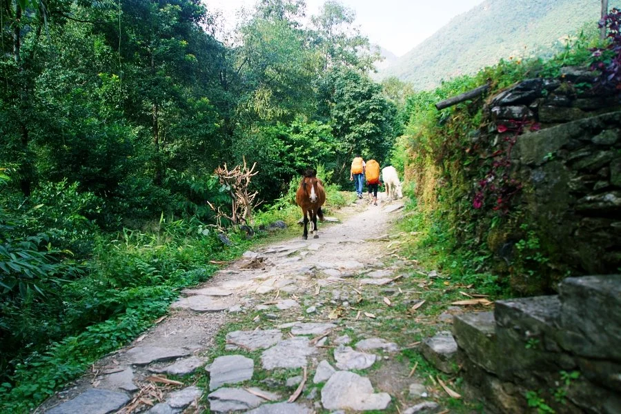 %EB%B3%B4%EC%A0%95__DSC1274.jpg?type=w1200