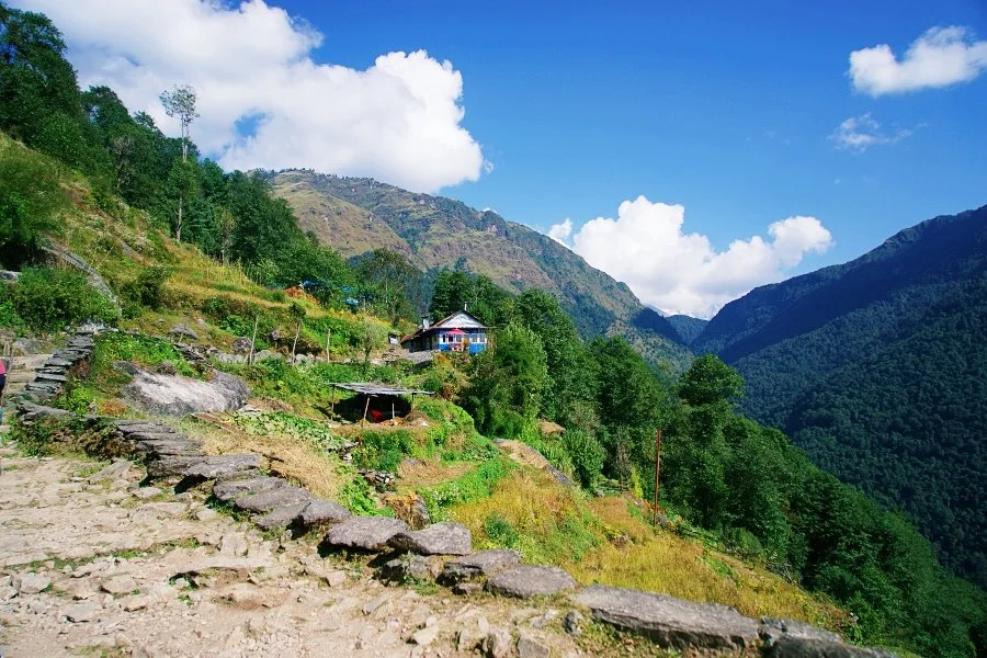 %EB%B3%B4%EC%A0%95__DSC1343.jpg?type=w1200