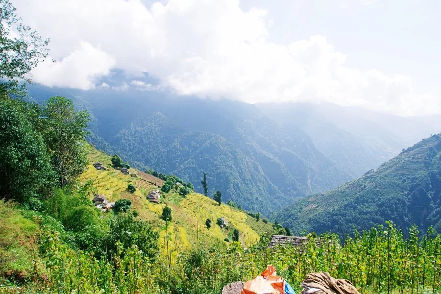 %EB%B3%B4%EC%A0%95__DSC1689.jpg?type=w1200