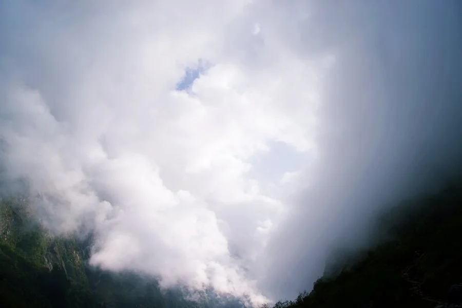 %EB%B3%B4%EC%A0%95__DSC1946.jpg?type=w1200