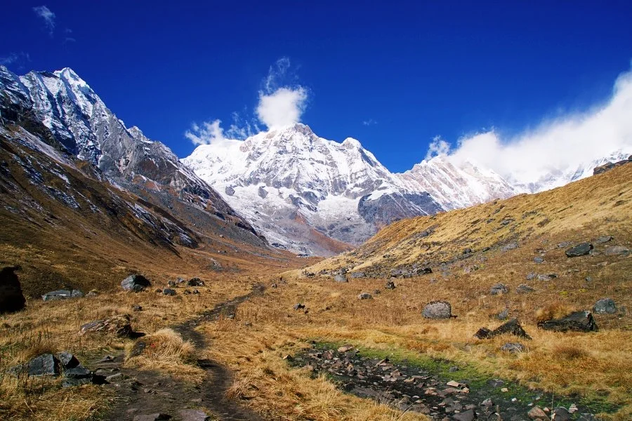 %EB%B3%B4%EC%A0%95__DSC2145.jpg?type=w1200