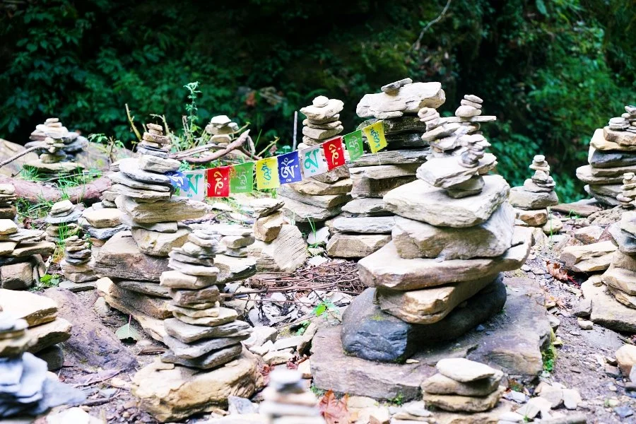 %EB%B3%B4%EC%A0%95__DSC1625.jpg?type=w1200