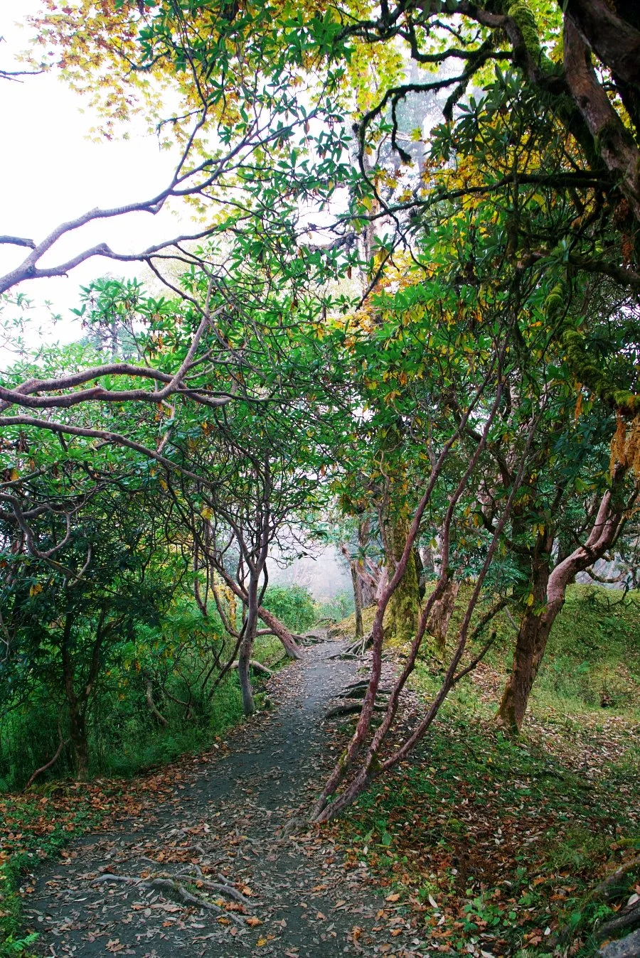 %EB%B3%B4%EC%A0%95__DSC1598.jpg?type=w1200