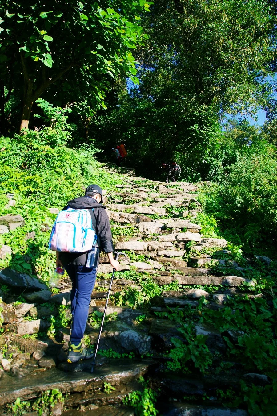 %EB%B3%B4%EC%A0%95__DSC1291.jpg?type=w1200