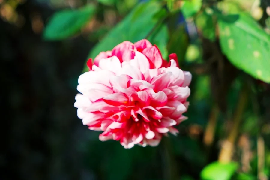 %EB%B3%B4%EC%A0%95__DSC1655.jpg?type=w1200