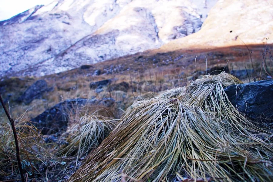 %EB%B3%B4%EC%A0%95__DSC2112.jpg?type=w1200