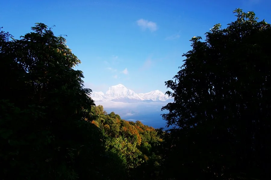 %EB%B3%B4%EC%A0%95__DSC1545.jpg?type=w1200