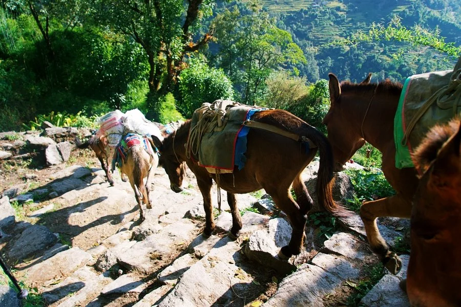 %EB%B3%B4%EC%A0%95__DSC1310.jpg?type=w1200