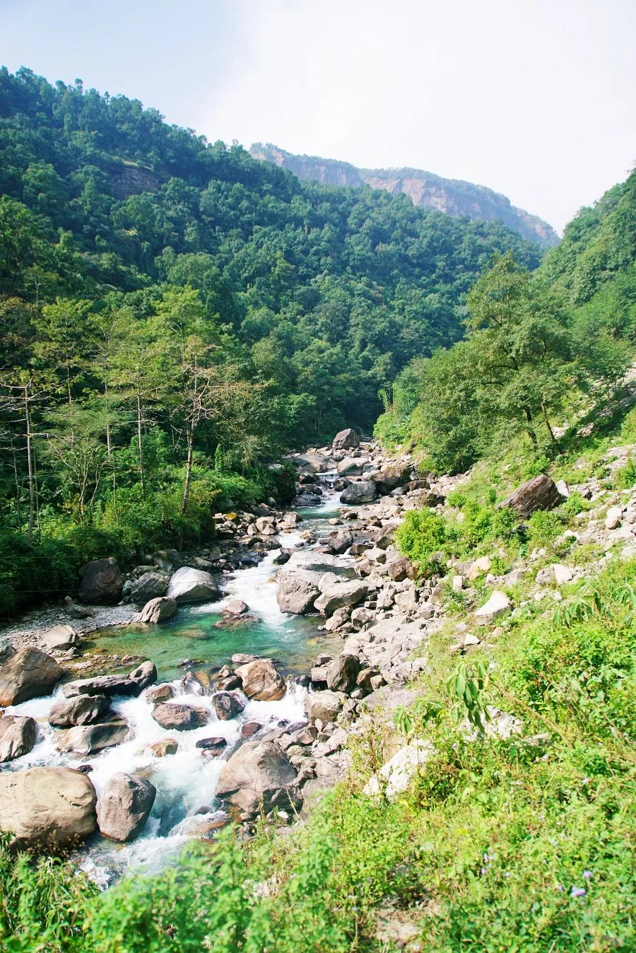 %EB%B3%B4%EC%A0%95__DSC1253.jpg?type=w1200