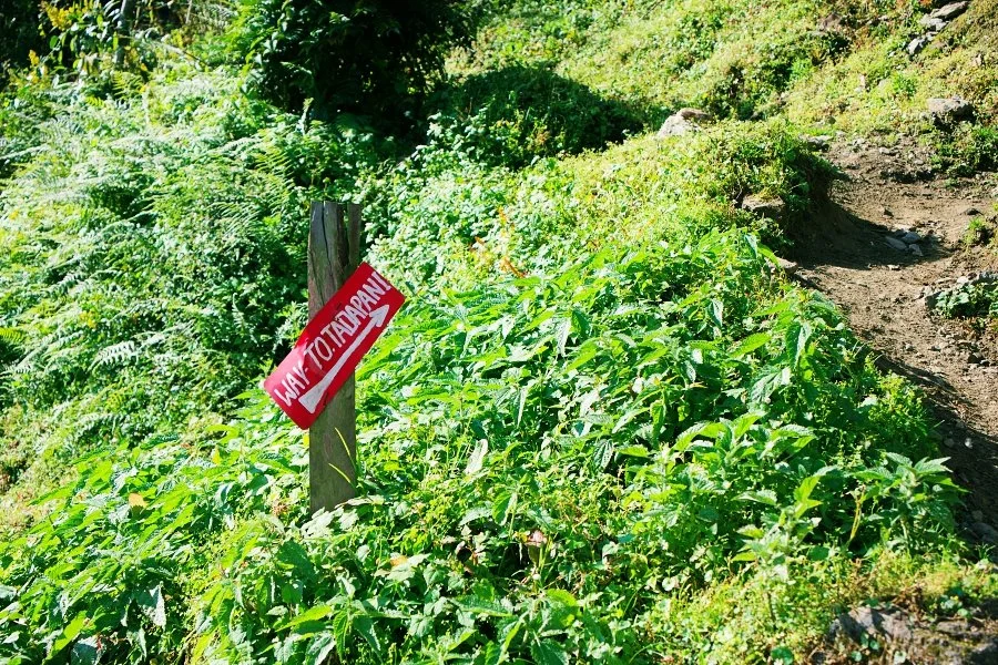 %EB%B3%B4%EC%A0%95__DSC1642.jpg?type=w1200