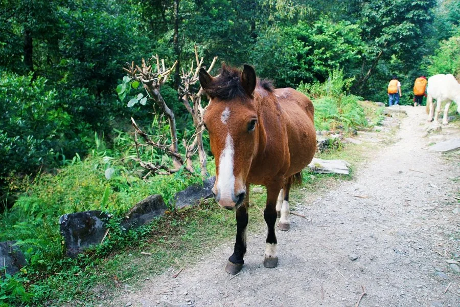 %EB%B3%B4%EC%A0%95__DSC1275.jpg?type=w1200