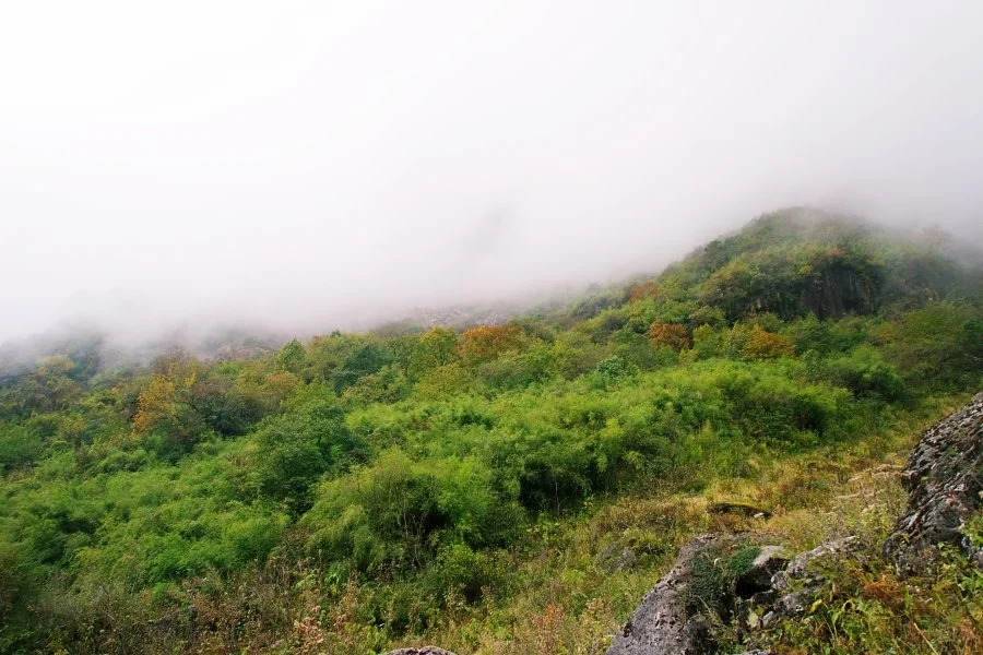 %EB%B3%B4%EC%A0%95__DSC1905.jpg?type=w1200