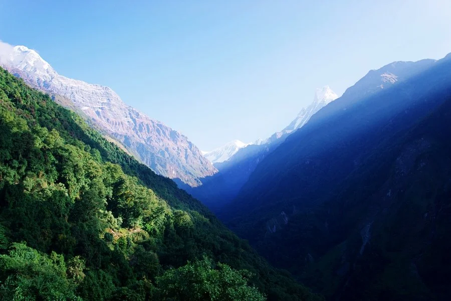 %EB%B3%B4%EC%A0%95__DSC1750.jpg?type=w1200