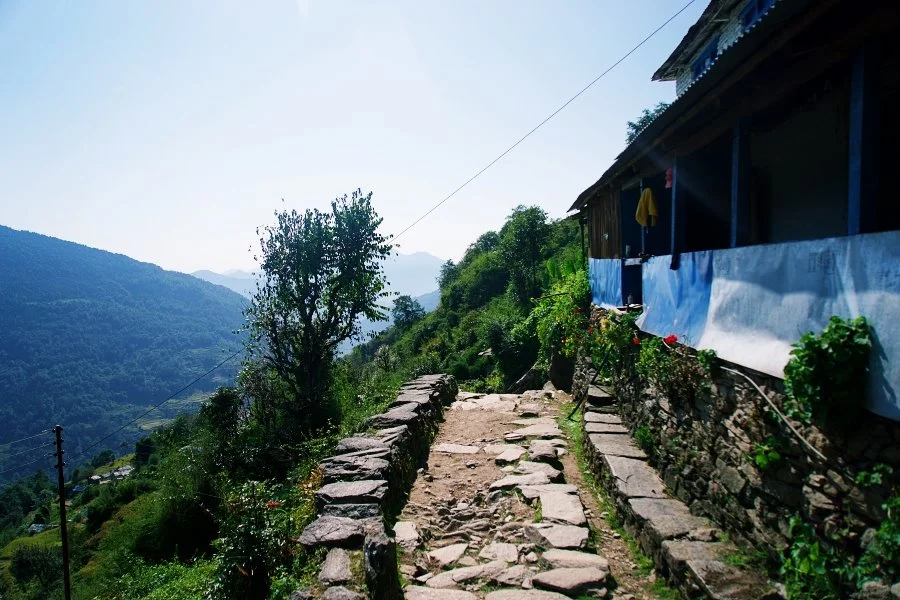 %EB%B3%B4%EC%A0%95__DSC1348.jpg?type=w1200