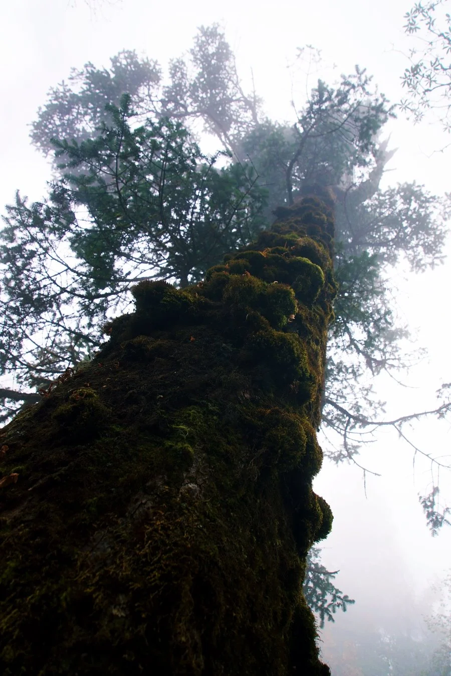 %EB%B3%B4%EC%A0%95__DSC1608.jpg?type=w1200