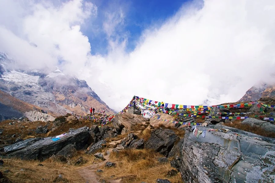 %EB%B3%B4%EC%A0%95__DSC2189.jpg?type=w1200