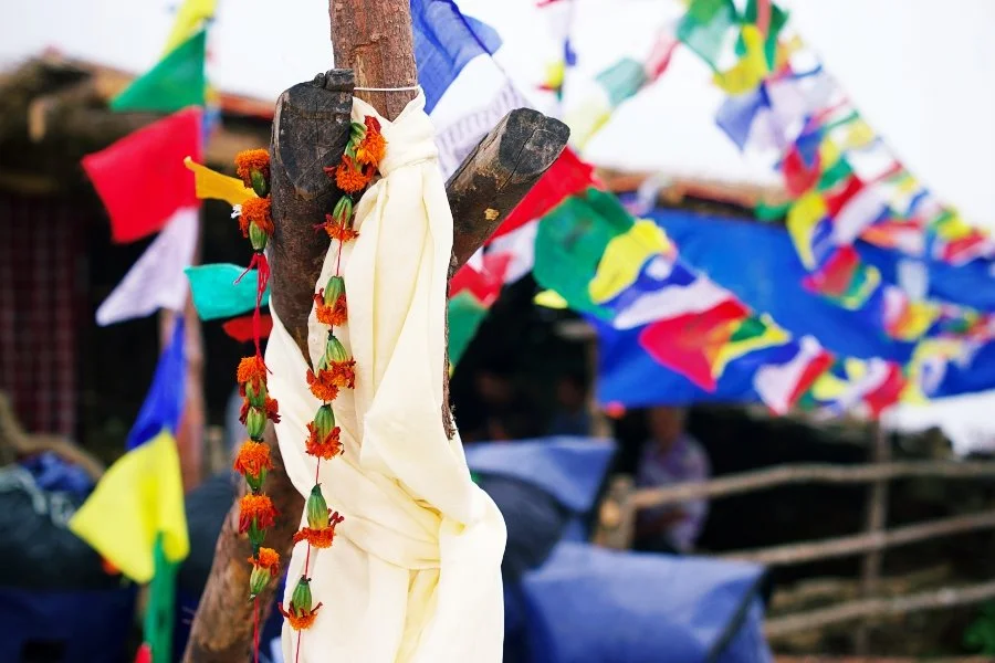 %EB%B3%B4%EC%A0%95__DSC1582.jpg?type=w1200