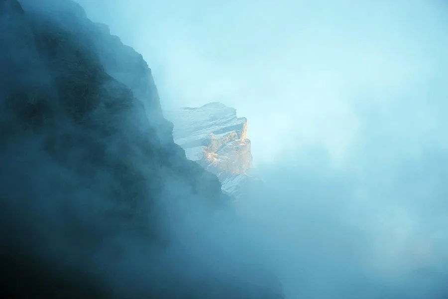 %EB%B3%B4%EC%A0%95__DSC2025.jpg?type=w1200