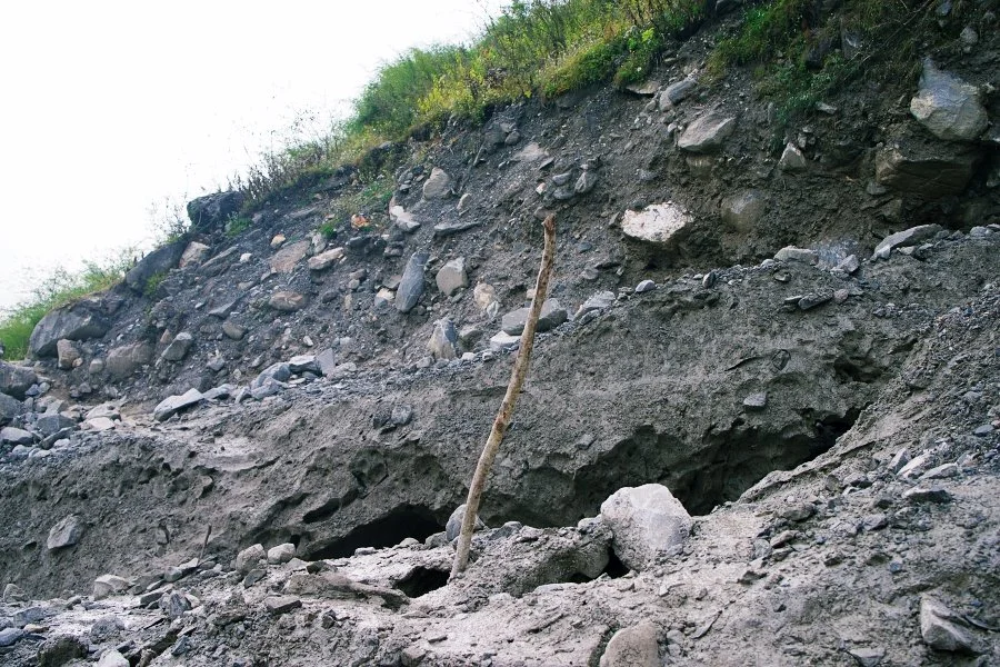 %EB%B3%B4%EC%A0%95__DSC1936.jpg?type=w1200