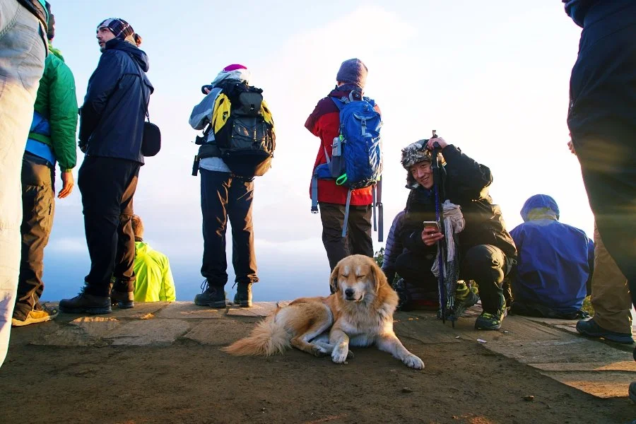 %EB%B3%B4%EC%A0%95__DSC1487.jpg?type=w1200