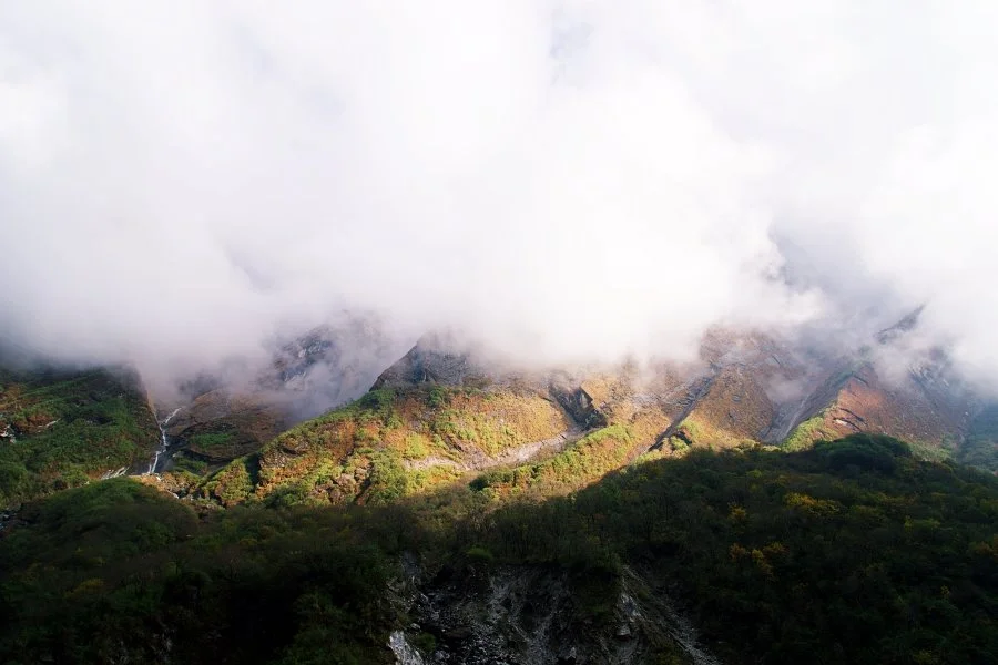 %EB%B3%B4%EC%A0%95__DSC1980.jpg?type=w1200