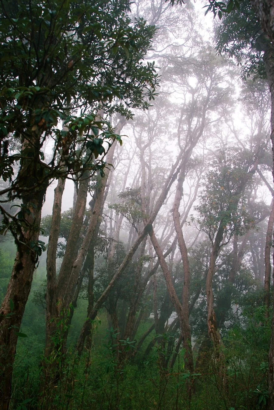 %EB%B3%B4%EC%A0%95__DSC1605.jpg?type=w1200