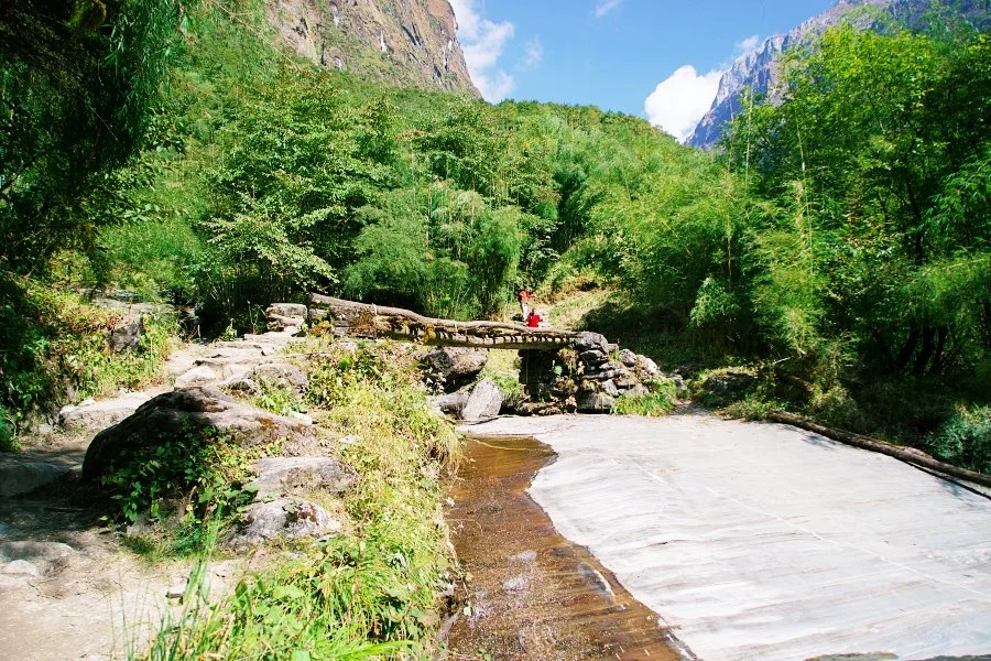 %EB%B3%B4%EC%A0%95__DSC1788.jpg?type=w1200