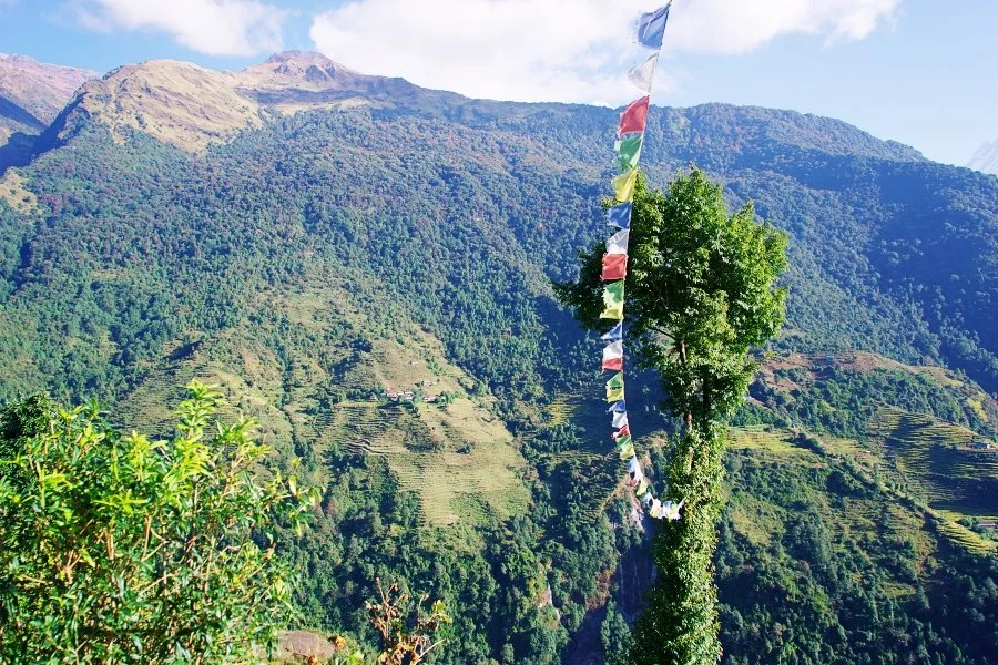 %EB%B3%B4%EC%A0%95__DSC1649.jpg?type=w1200