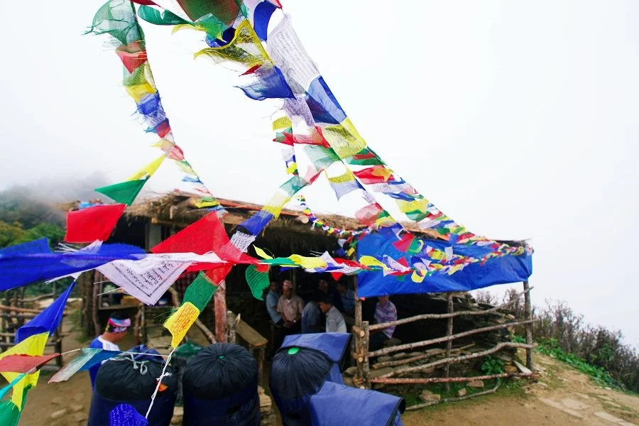 %EB%B3%B4%EC%A0%95__DSC1585.jpg?type=w1200