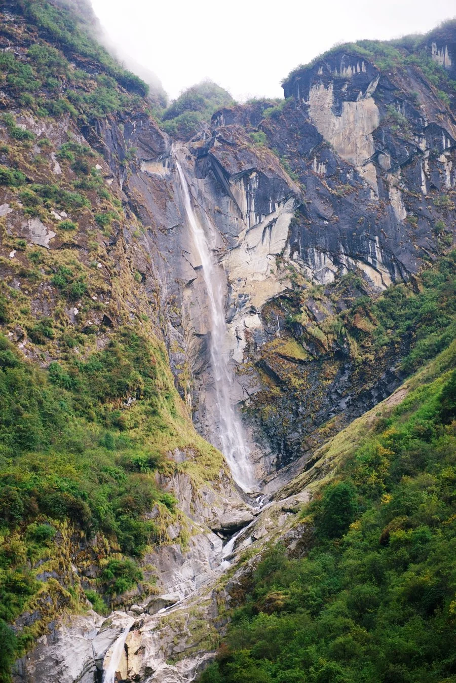 %EB%B3%B4%EC%A0%95__DSC1842.jpg?type=w1200