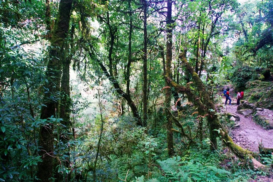 %EB%B3%B4%EC%A0%95__DSC1400.jpg?type=w1200