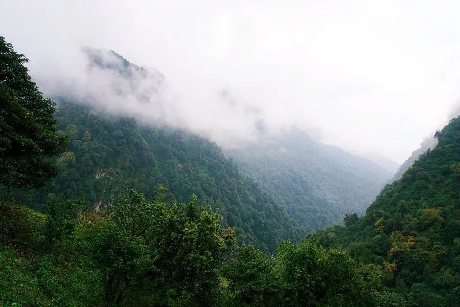 %EB%B3%B4%EC%A0%95__DSC1627.jpg?type=w1200