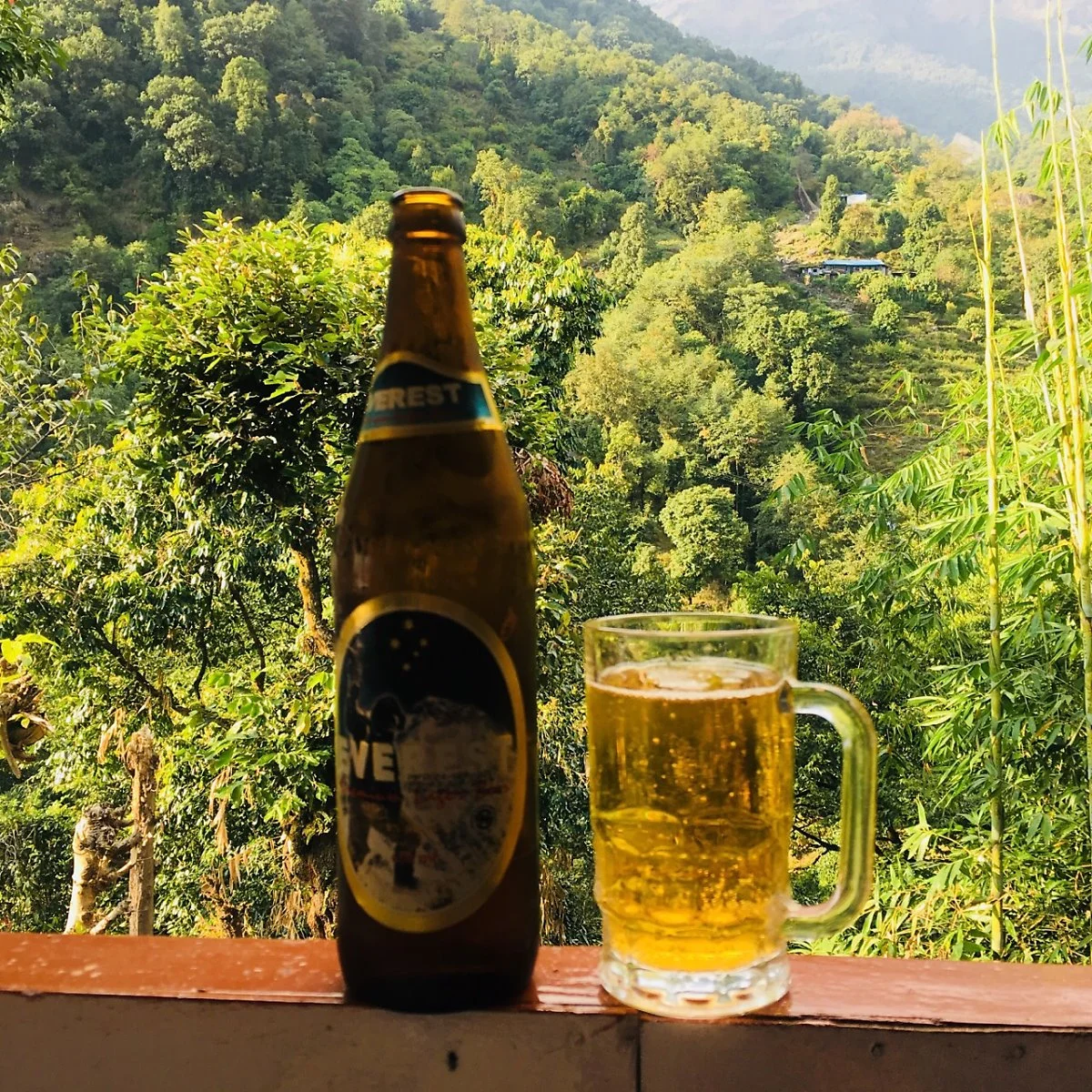 IMG_2285.jpg?type=w1200