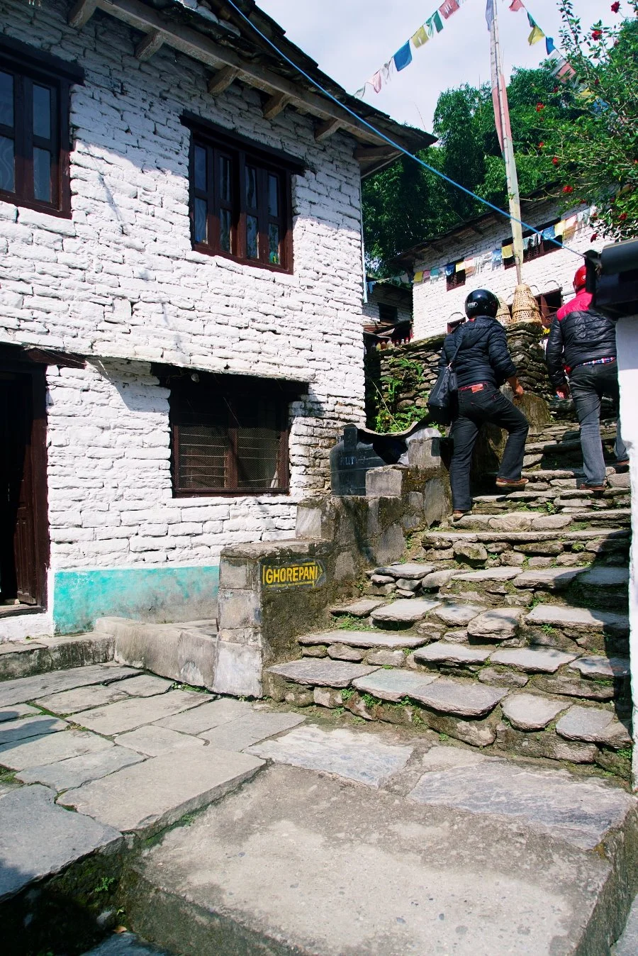 %EB%B3%B4%EC%A0%95__DSC1250.jpg?type=w1200