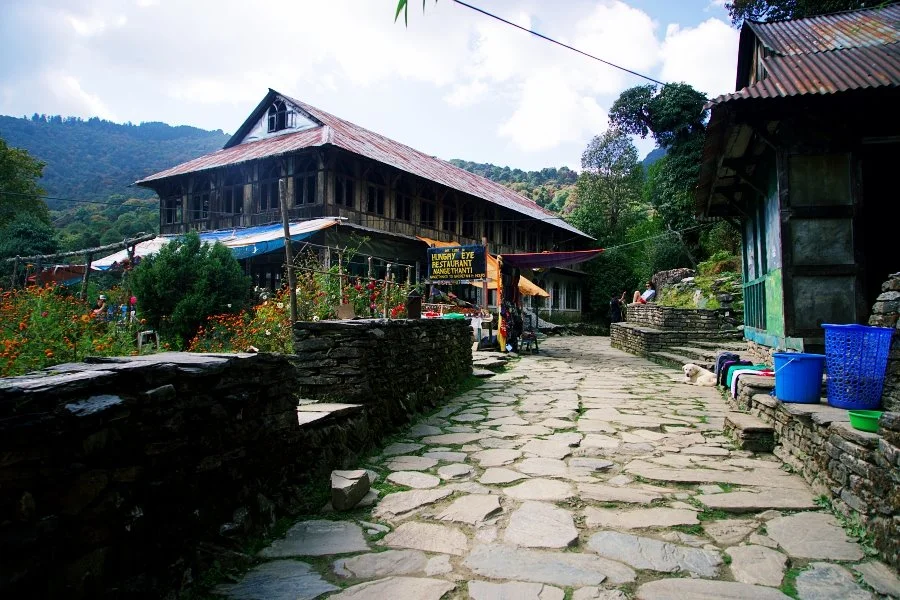 %EB%B3%B4%EC%A0%95__DSC1418.jpg?type=w1200