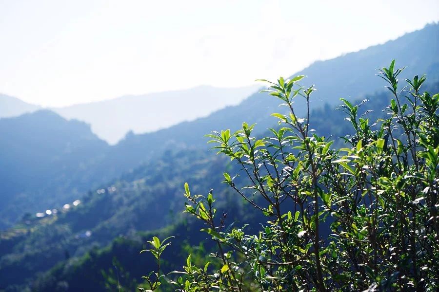 %EB%B3%B4%EC%A0%95__DSC1652.jpg?type=w1200