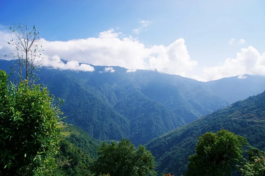 %EB%B3%B4%EC%A0%95__DSC1682.jpg?type=w1200