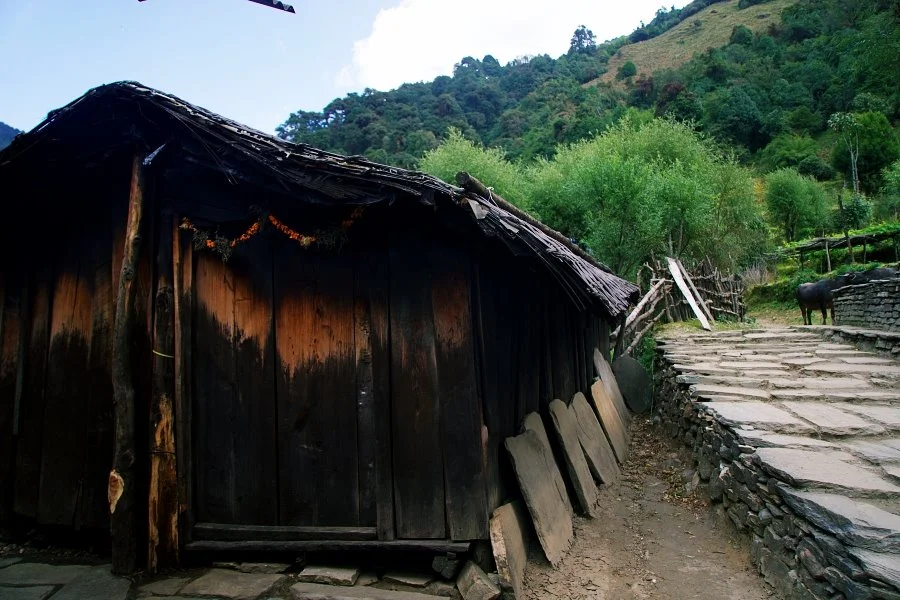 %EB%B3%B4%EC%A0%95__DSC1420.jpg?type=w1200