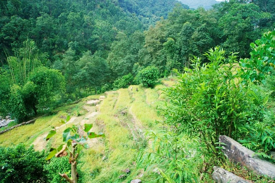 %EB%B3%B4%EC%A0%95__DSC1255.jpg?type=w1200