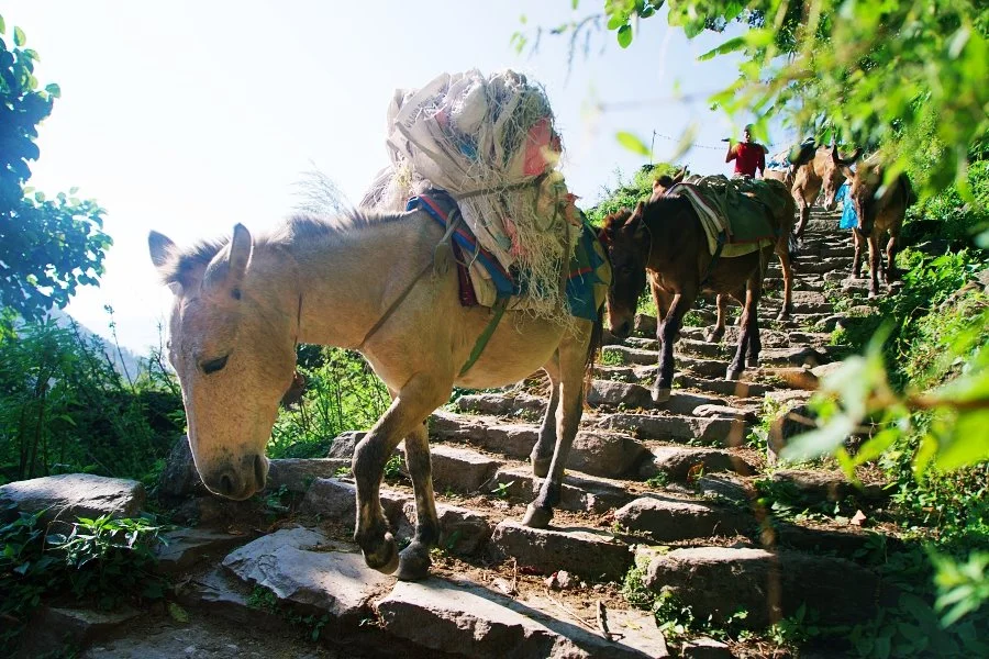 %EB%B3%B4%EC%A0%95__DSC1307.jpg?type=w1200